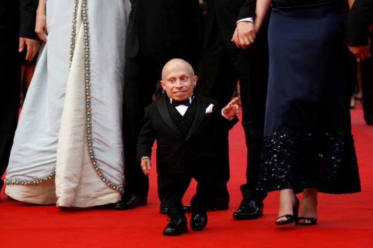 Verne Troyer was best known for his role as Mini-Me in the "Austin Powers" movies and as Griphook in "Harry Potter"