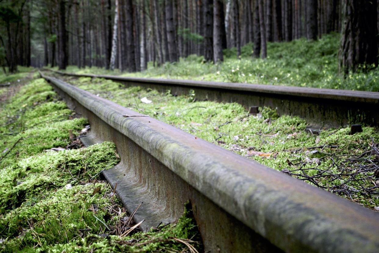 close-up of abandoned railroad tracks with moss growing over in woods