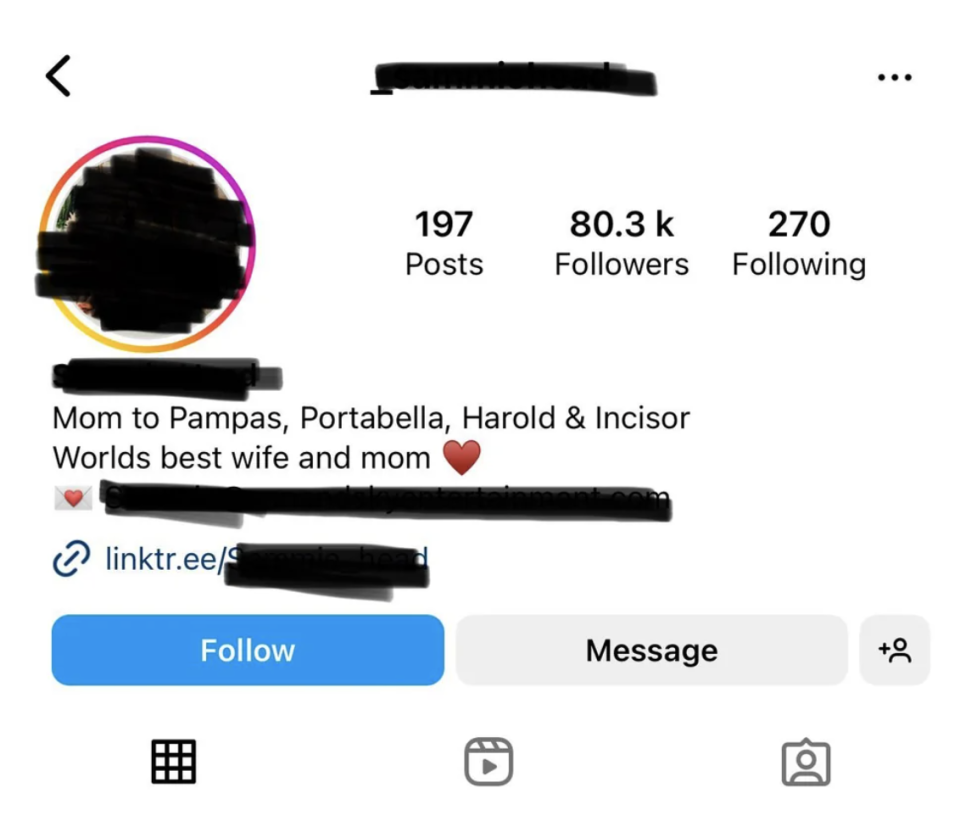 Screenshot of someone's Instagram profile