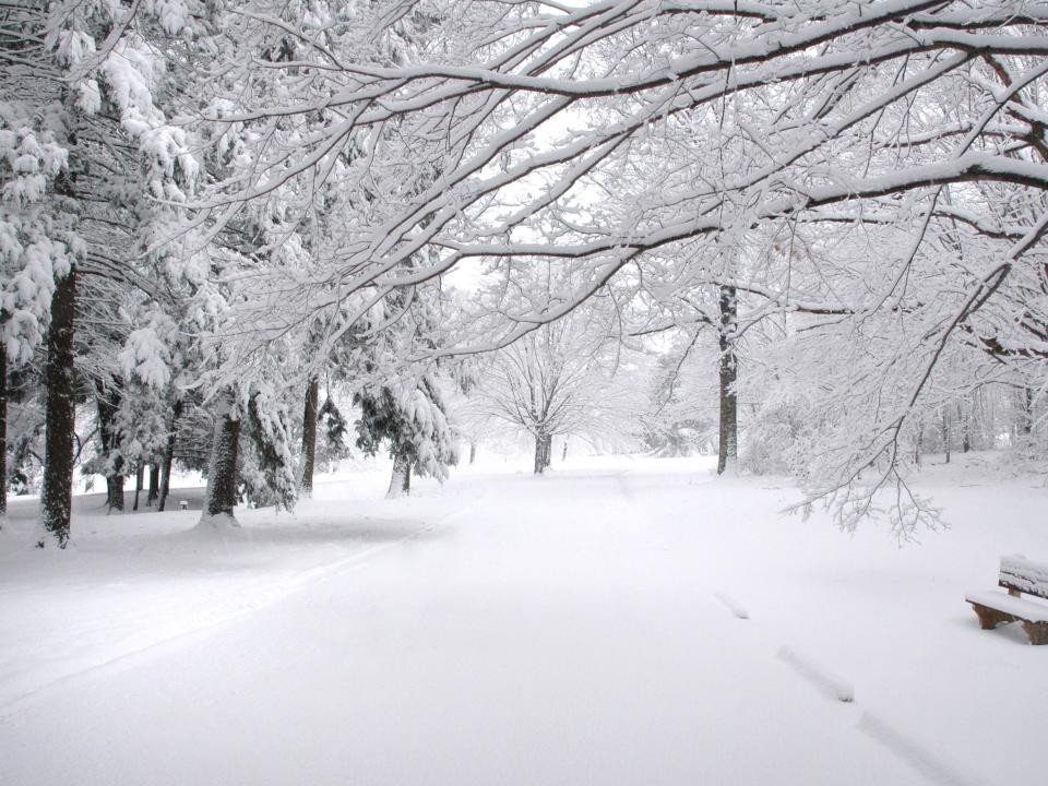 Winter in Connecticut