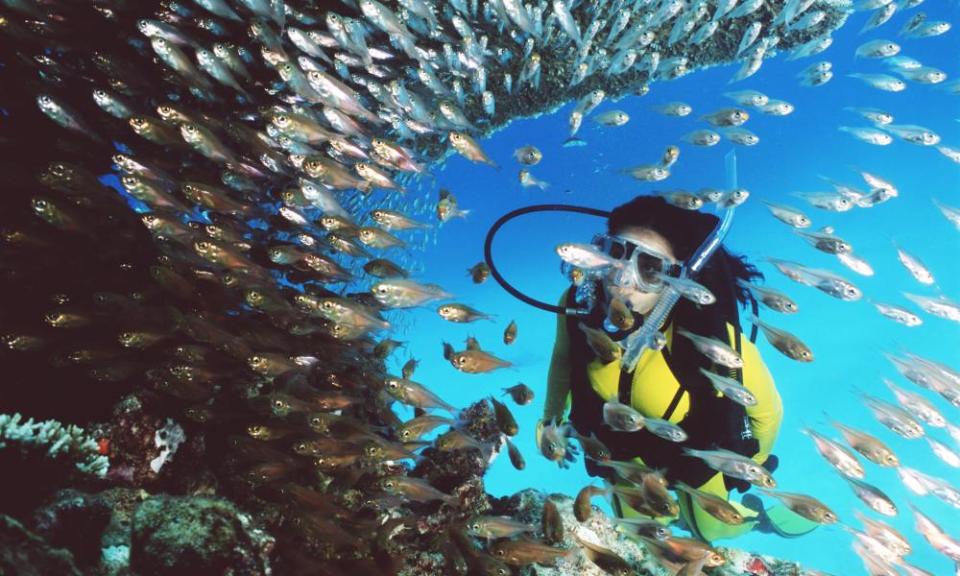 A woman snorkeling in the reef