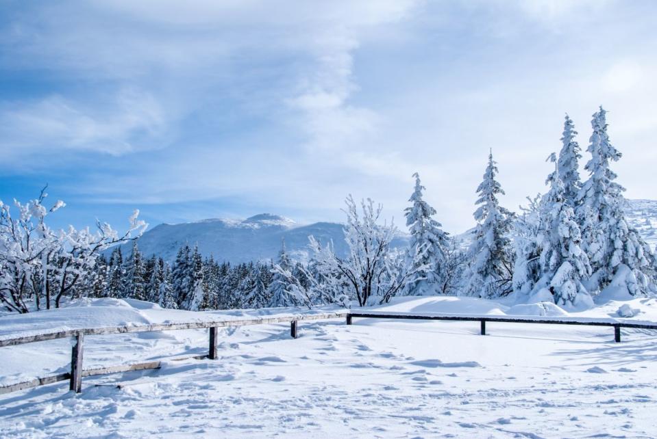 ▲原PO想起2016年的「霸王級寒流」，表示當時許多山區都下雪，十分浪漫，讓他有些懷念，怎料貼文一出，也有網友直言「那根本是災難」。（示意圖／取自unsplash）