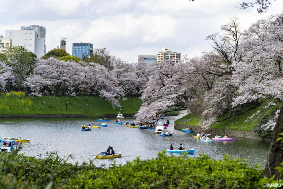 東京都內JR沿線賞櫻景點推薦