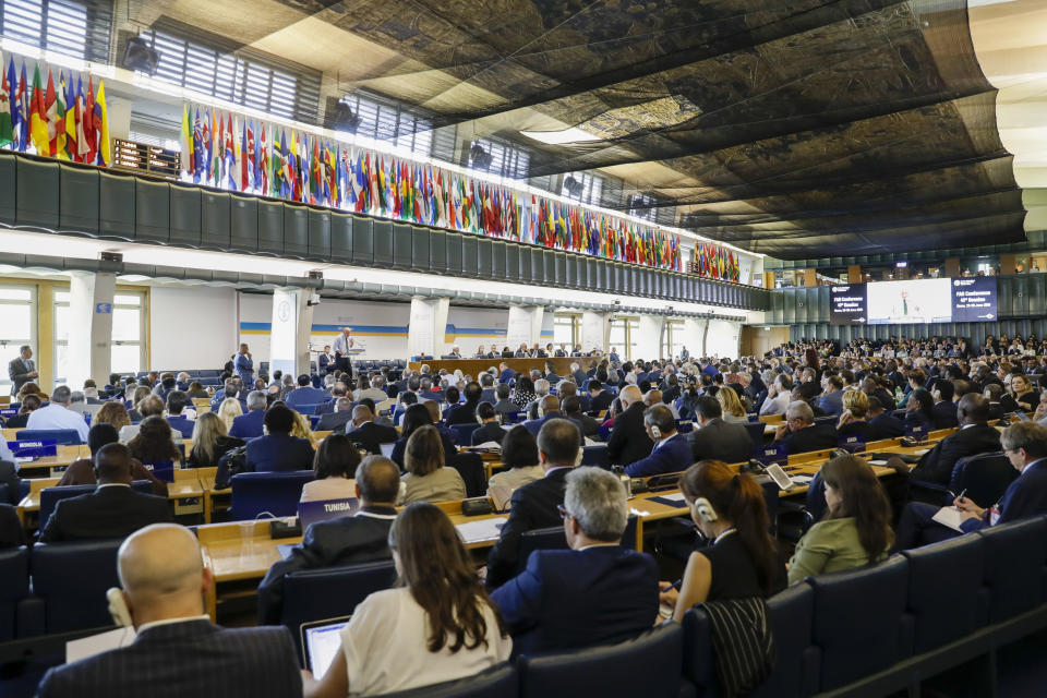 David Kirvalidze from Georgia, small figure at center left standing, one of the candidates for the Director-General position of the FAO (UN Food and Agriculture Organization), addresses a plenary meeting of the 41st Session of the Conference, at the FAO headquarters in Rome, Saturday, June 22, 2019. The new FAO Director-General will be voted on Sunday. (AP Photo/Andrew Medichini)