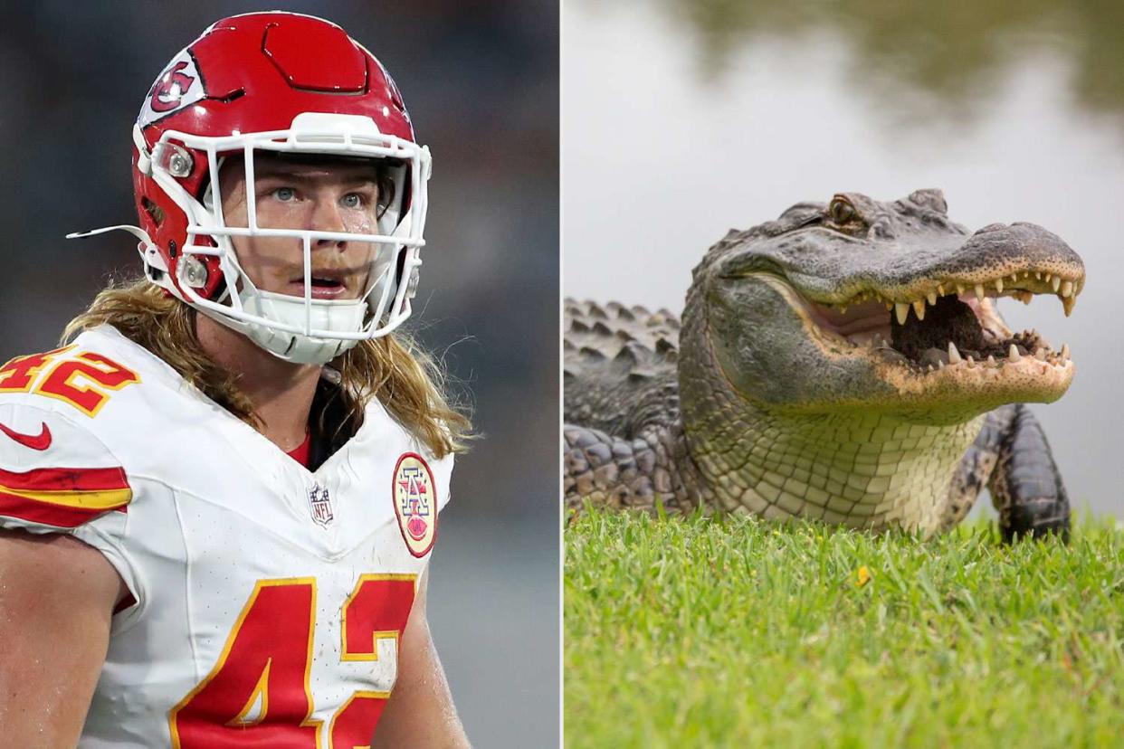 <p>Courtney Culbreath/Getty; Getty</p> Carson Steele (left) and a stock photo of an alligator