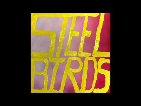 "Steel Birds" by Slow Pulp