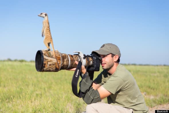 ***EXCLUSIVE***MAKGADIKGADI, BOTSWANA - JANUARY 2014: Will Burrard-Lucas takes a photo while a Meerkat perches on his lens on January 2014 in Makgadikgadi, Botswana.THESE adorable Meerkats used a photographer as a look out post before trying their hand at taking pictures. The beautiful images were caught by wildlife photographer Will Burrard-Lucas after he spent six days with the quirky new families in the Makgadikgadi region of Botswana. Will has photographed Meerkats in the past and was delighted when he realised he would be shooting new arrivals.PHOTOGRAPH BY Will Burrard - Lucas / Barcroft MediaUK Office, London.T +44 845 370 2233W www.barcroftmedia.comUSA Office, New York City.T +1 212 796 2458W www.barcroftusa.comIndian Office, Delhi.T +91 11 4053 2429W www.barcroftindia.com