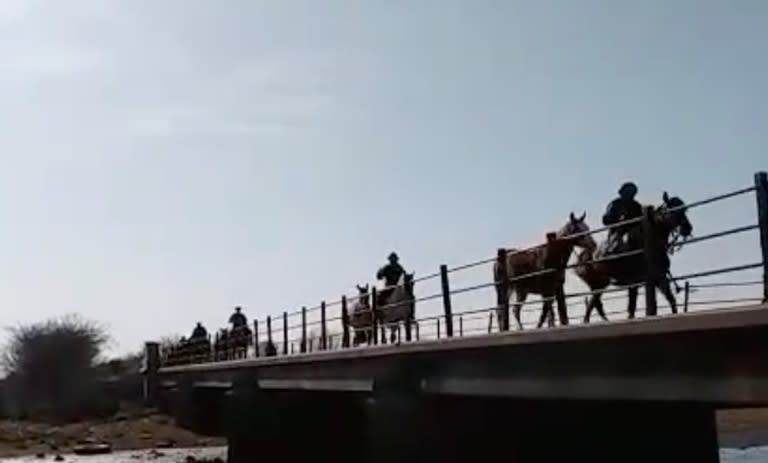 Son más de 250 kilómetros, por eso cada jinete viaja con otro caballo de tiro para ir intercambiando durante la travesía