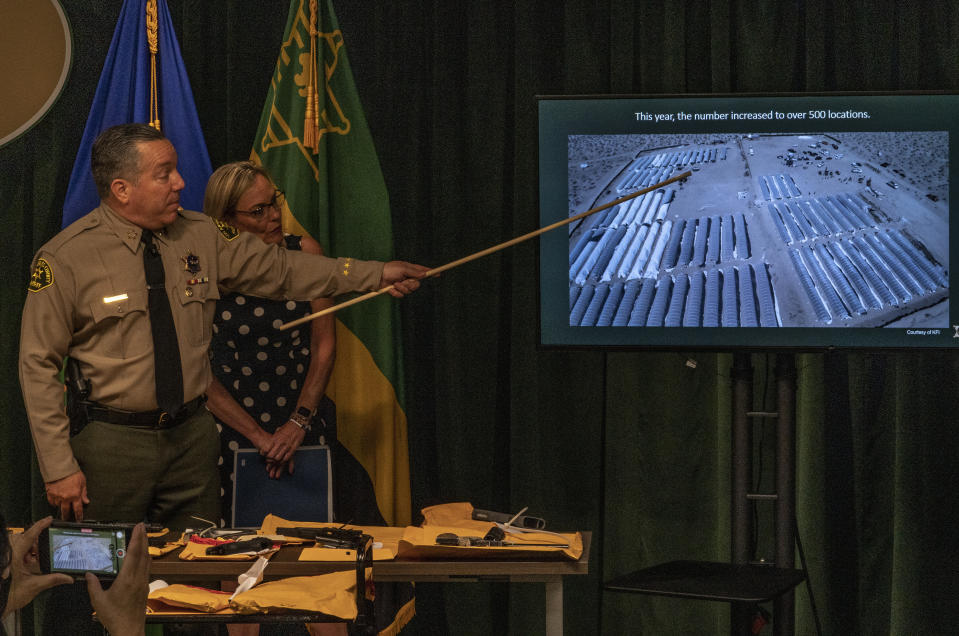 Los Angeles County Sheriff Alex Villanueva, and Los Angeles County Supervisor Kathryn Barger stand in front of confiscated firearms, as he points to a picture of some 500 illegal pot operations at a news conference downtown Los Angeles Wednesday, July 7, 2021. Authorities seized tens of millions of dollars worth of illegal marijuana grown in the high desert as part of an effort to curtail the black market's grip on Southern California. Twenty-three people were arrested in the crackdown Tuesday in the Antelope Valley, 70 miles (112.65 kilometers) north of Los Angeles, and officials planned to bulldoze 500 illegal grows in the area over the coming days. (AP Photo/Damian Dovarganes)