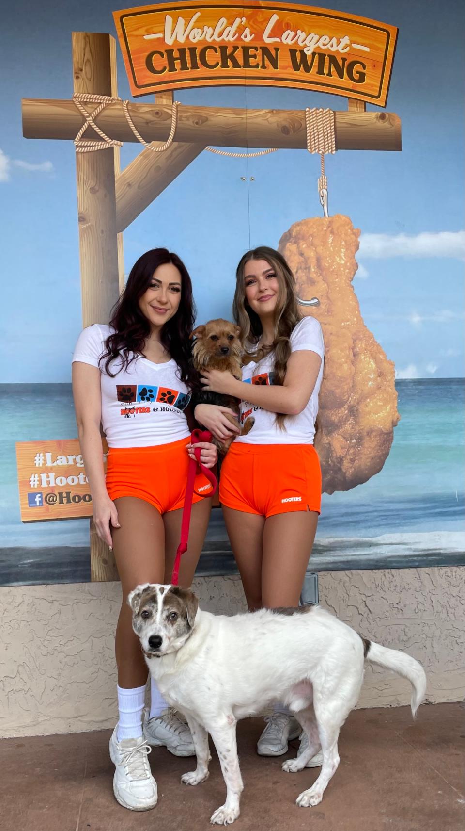 Find a new furry BFF during the adoption event at Hooters in Boca Raton this Valentine's Day.