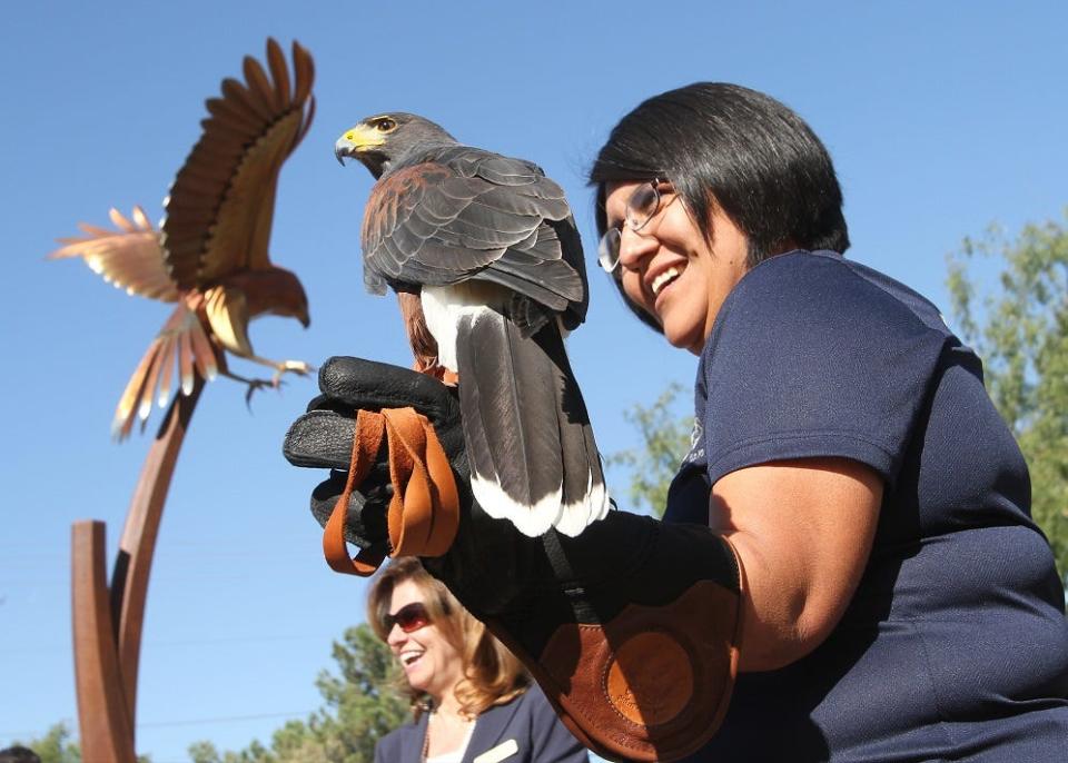 Heather Rivera holds Houdini, a Harris hawk from the El Paso Zoo, during a ribbon-cutting ceremony Nov 1, 2012 at the zoo for a new sculpture. The stainless-steel sculpture, by artist Heath Satow, is a public art project sponsored by the city’s Museum and Cultural Affairs Department. It is 21 feet high and 10 feet wide.