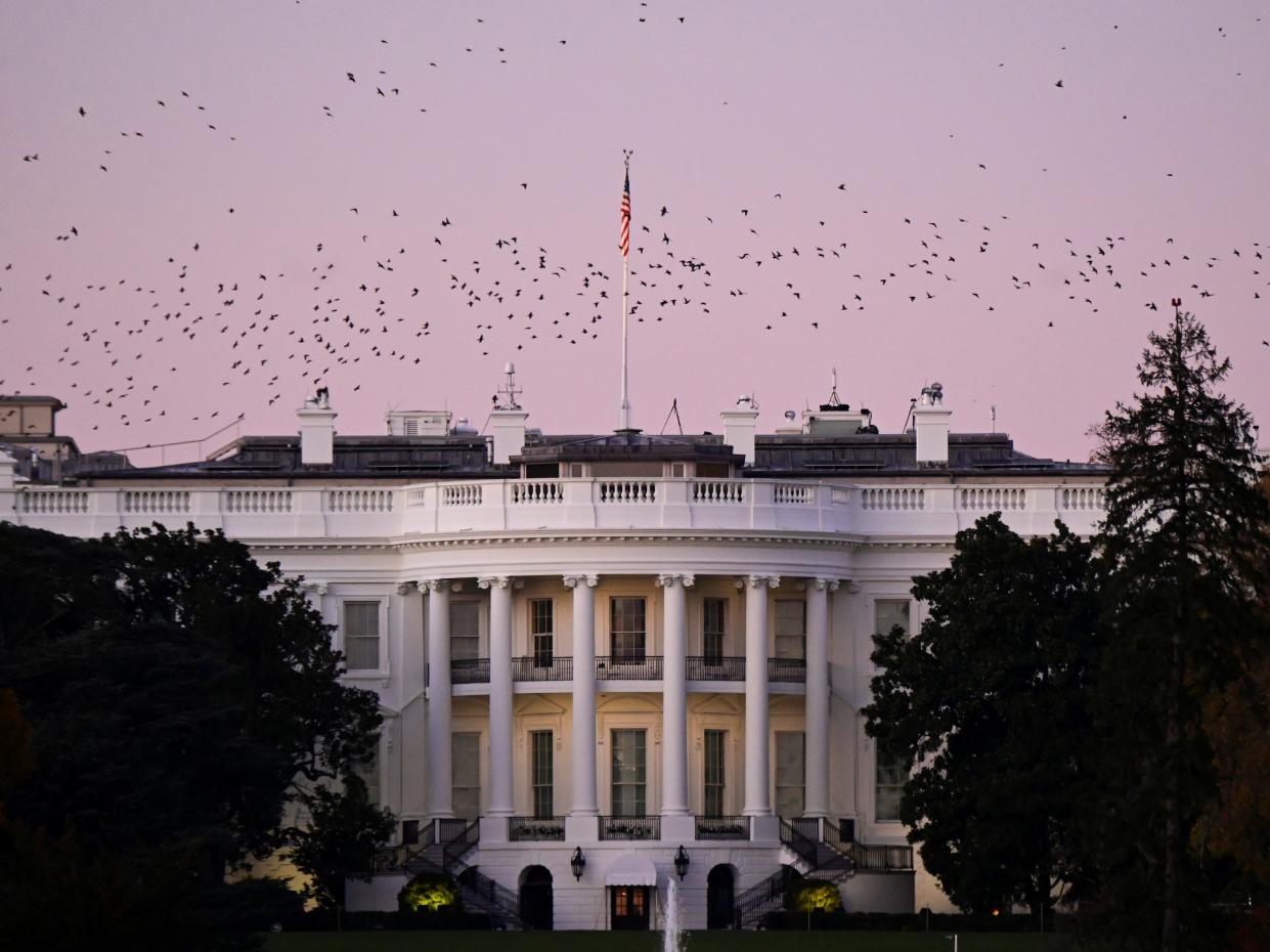 Birds fly over the White House at dusk, the day after a presidential election victory was called for former Vice President Joe Biden (REUTERS)