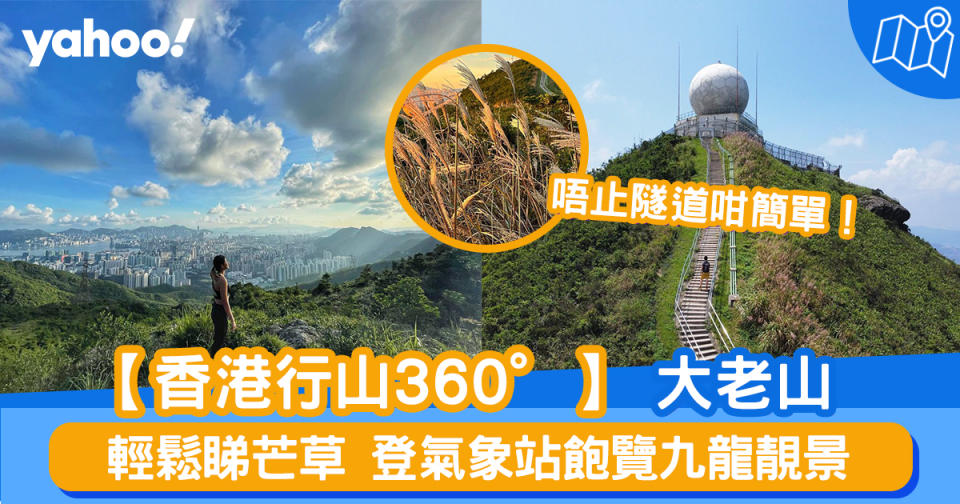 【行山路線】360度睇大老山：輕鬆睇芒草 登氣象站飽覽九龍靚景