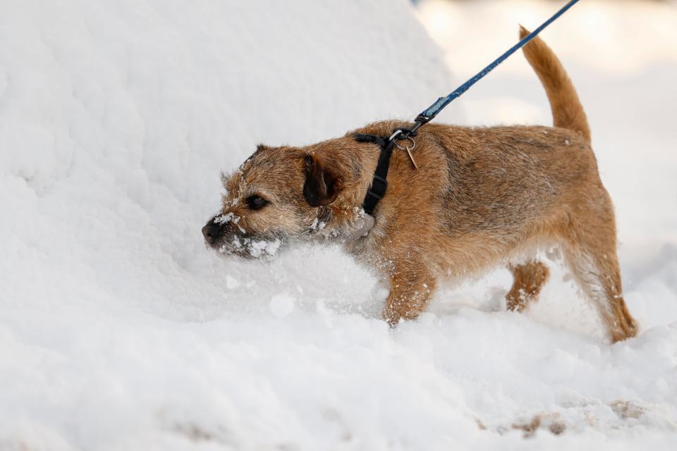  (Getty Images)