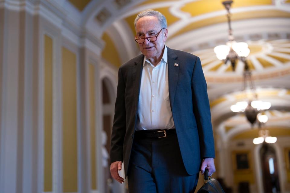 Protesters were arrested a block from Senate leader Chuck Schumer’s Brooklyn home (AP)