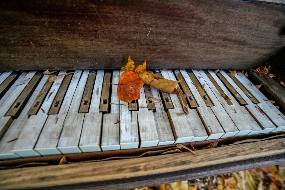 Leaves rest on the piano's keys, which have lost their plastic top plates, exposing the wood beneath.