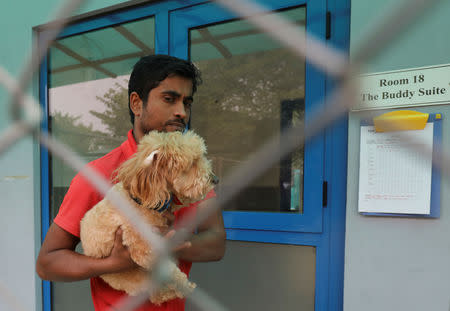 A helper carries a dog named "Lulu", a mix of dachshund and poodle breed, to give it a bath at TopDog, a Luxury Pet Resort, in Gurugram, November 8, 2018. REUTERS/Anushree Fadnavis