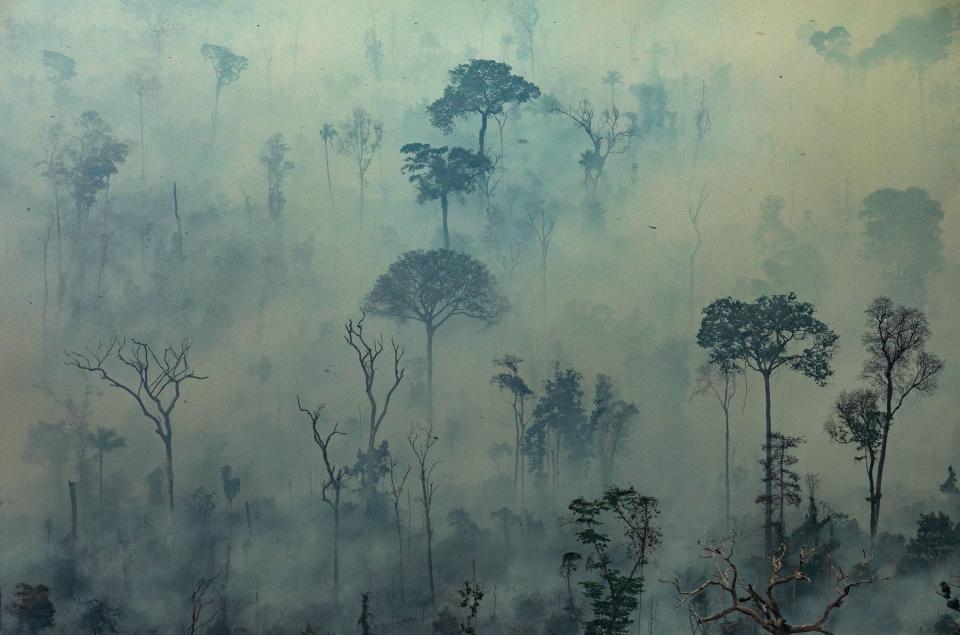 Tens of thousands of fires have ravaged the world's largest tropical rainforest this year, raising questions about how the world would survive without the Amazon.