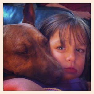 Pit Bulls and kids don't mix? Oh, really?