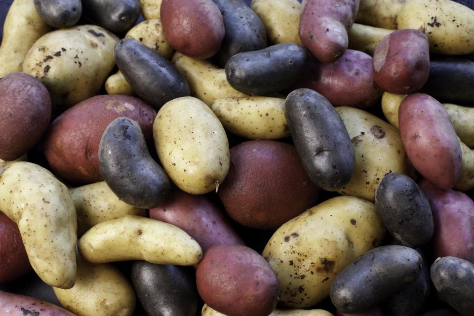 Potatoes