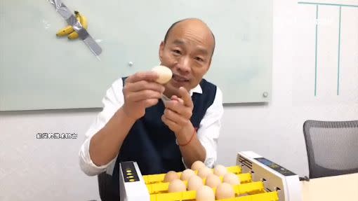 韓國瑜選前開直播，要孵化12顆雞蛋。（圖／翻攝自韓國瑜臉書）