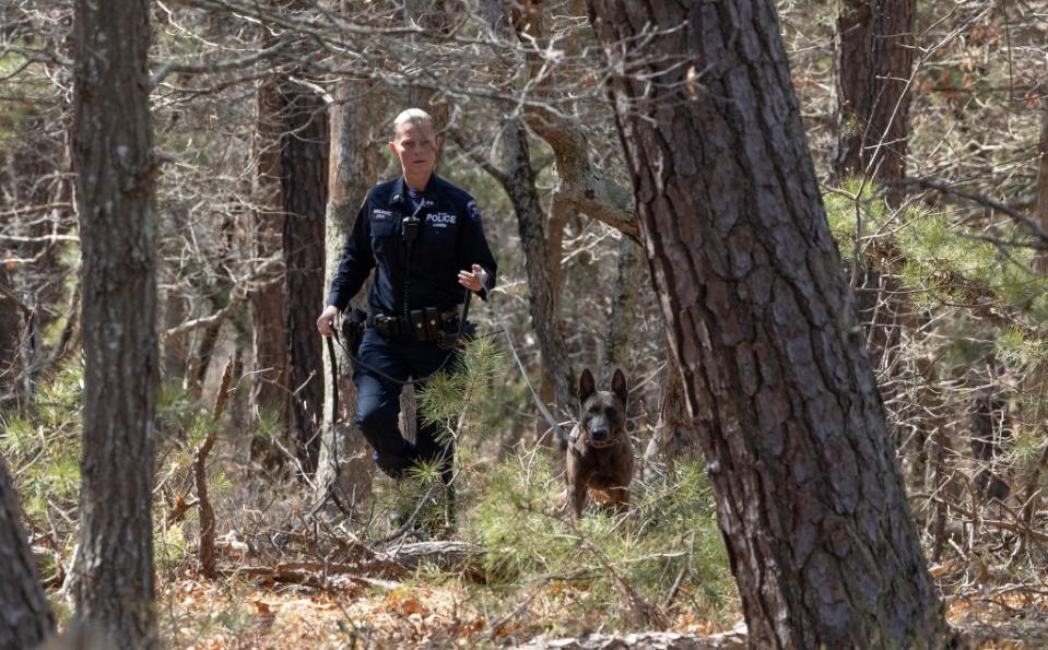 The NYPD canine unit along with the Suffolk County and State Police search a wooded area. Dennis A. Clark