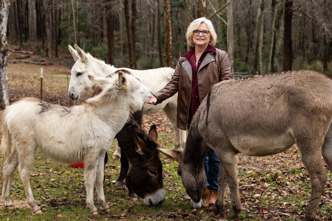 S.C. Sen. Katrina Shealy, R-Lexington, poses for a portrait with her pet donkeys at her home in Lexington County on Thursday, Dec. 22, 2022. Shealy originally started raising donkeys to help protect her cows, but now keeps them as pets.