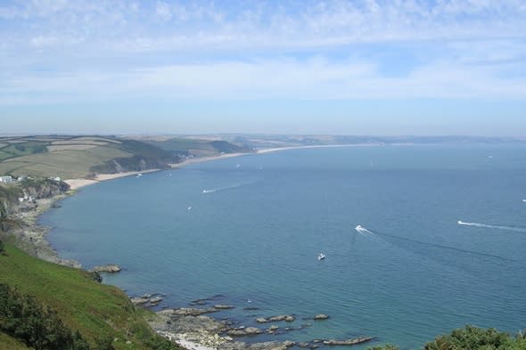 British waters in Devon reach seven-year high