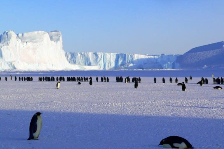 Los investigadores buscaron analizar la presencia de microplásticos en la península antártica y en el mar de Scotia