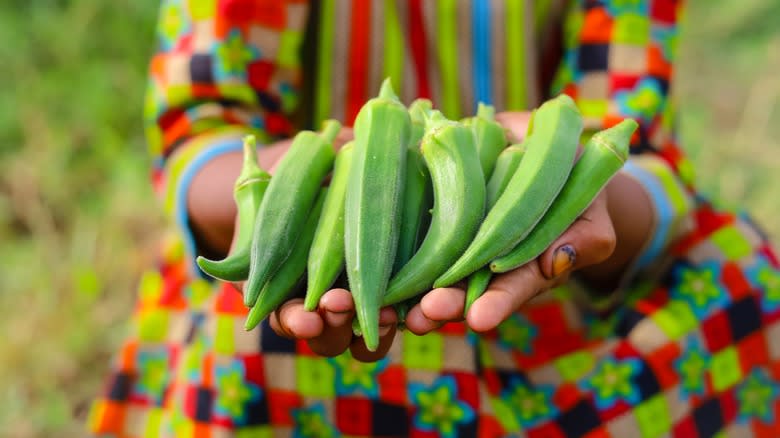 hands holding out okra