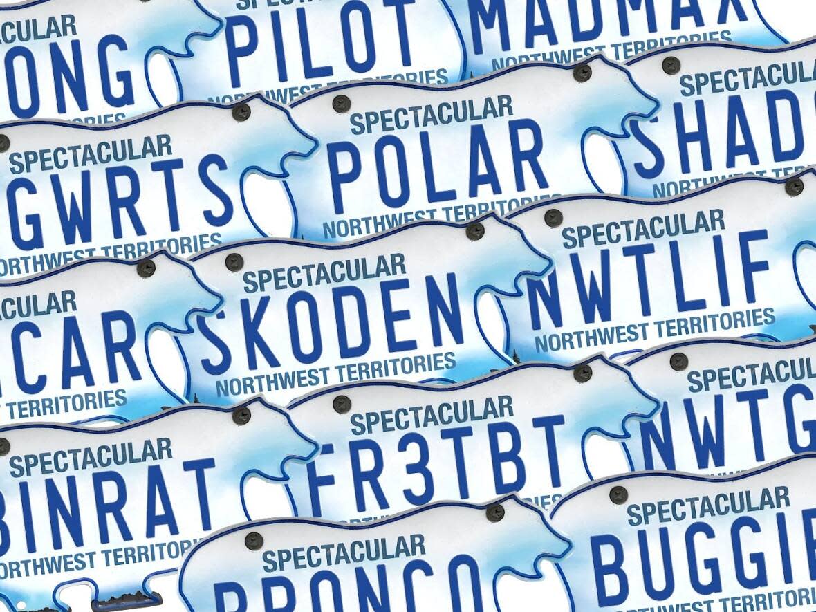 The N.W.T. government received 95 applications for personalized licence plates in 2022. Here are some of the ones that were approved.  (CBC - image credit)