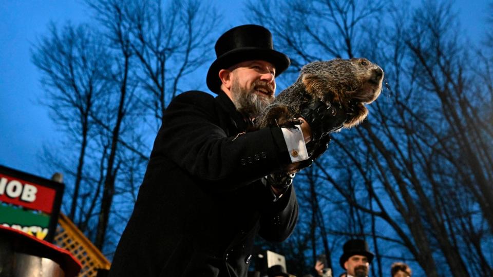 PHOTO: Groundhog Club handler A.J. Dereume holds Punxsutawney Phil, the weather prognosticating groundhog, during the 138th celebration of Groundhog Day on Gobbler's Knob in Punxsutawney, Pa., Feb. 2, 2024.  (Barry Reeger/AP)