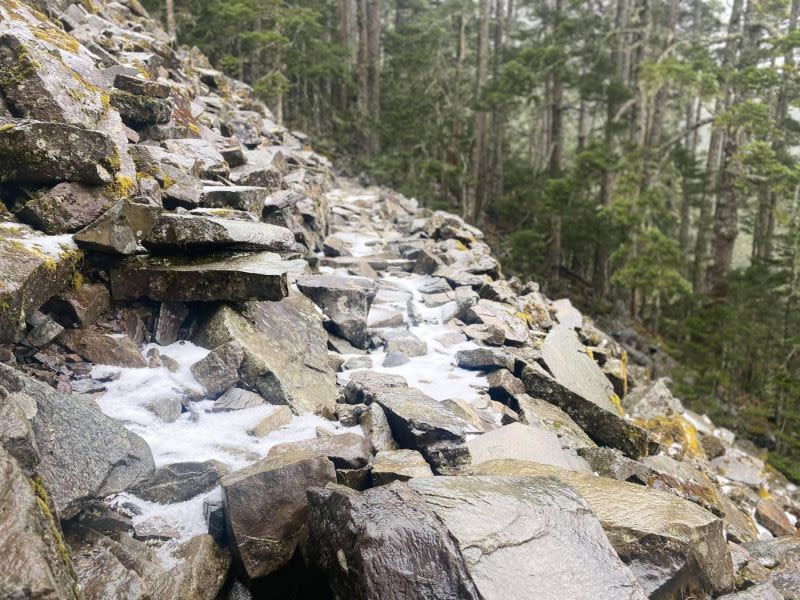 ▲路面結冰嚴重，老師決定帶孩子下撤。（圖／翻攝自雪霸國家公園登山資訊分享站臉書）