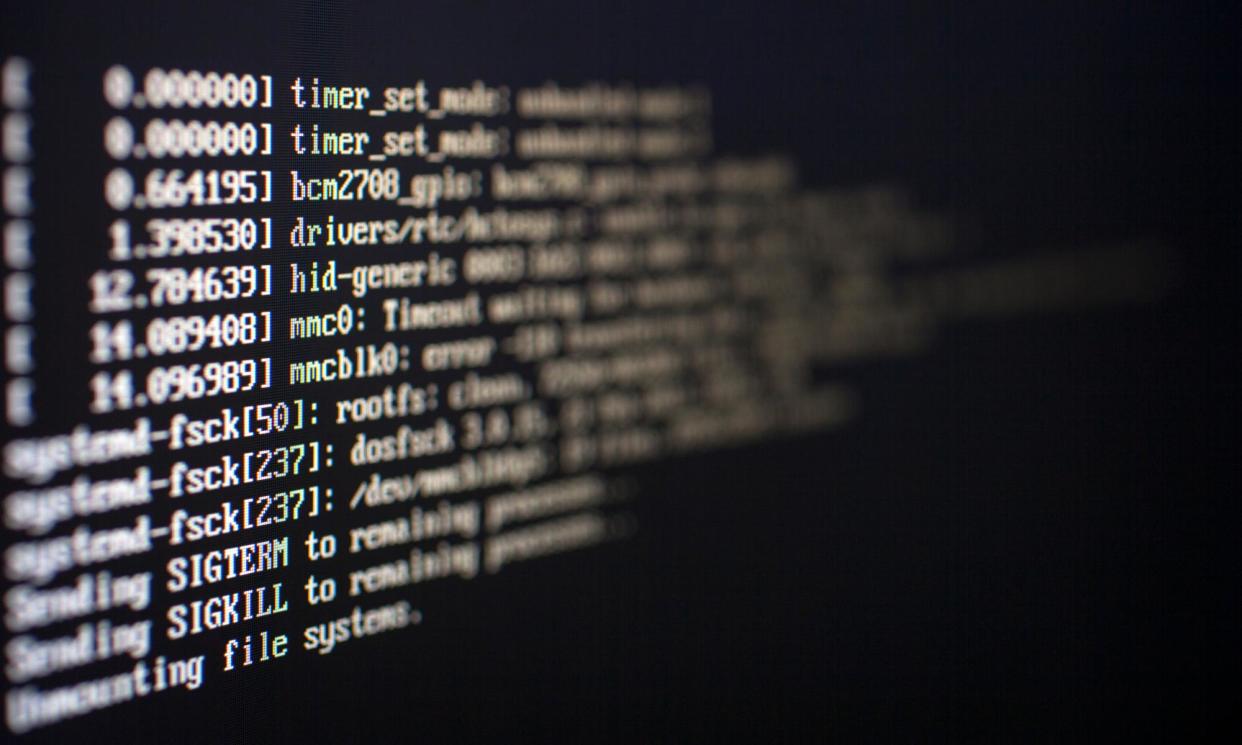 <span>Linux.</span><span>Photograph: David Sillitoe/The Guardian</span>