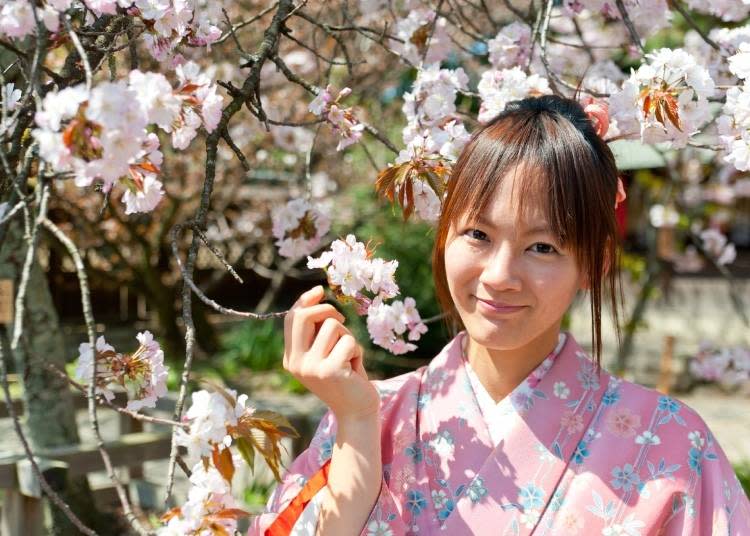 Rent a kimono and enjoy a special photo with the blossoms! (Photo: PIXTA)