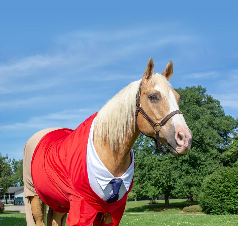 Swastika tiles removed from Indiana University building, horse dressed as Mr. Rogers touts visiting Kentucky city, and more