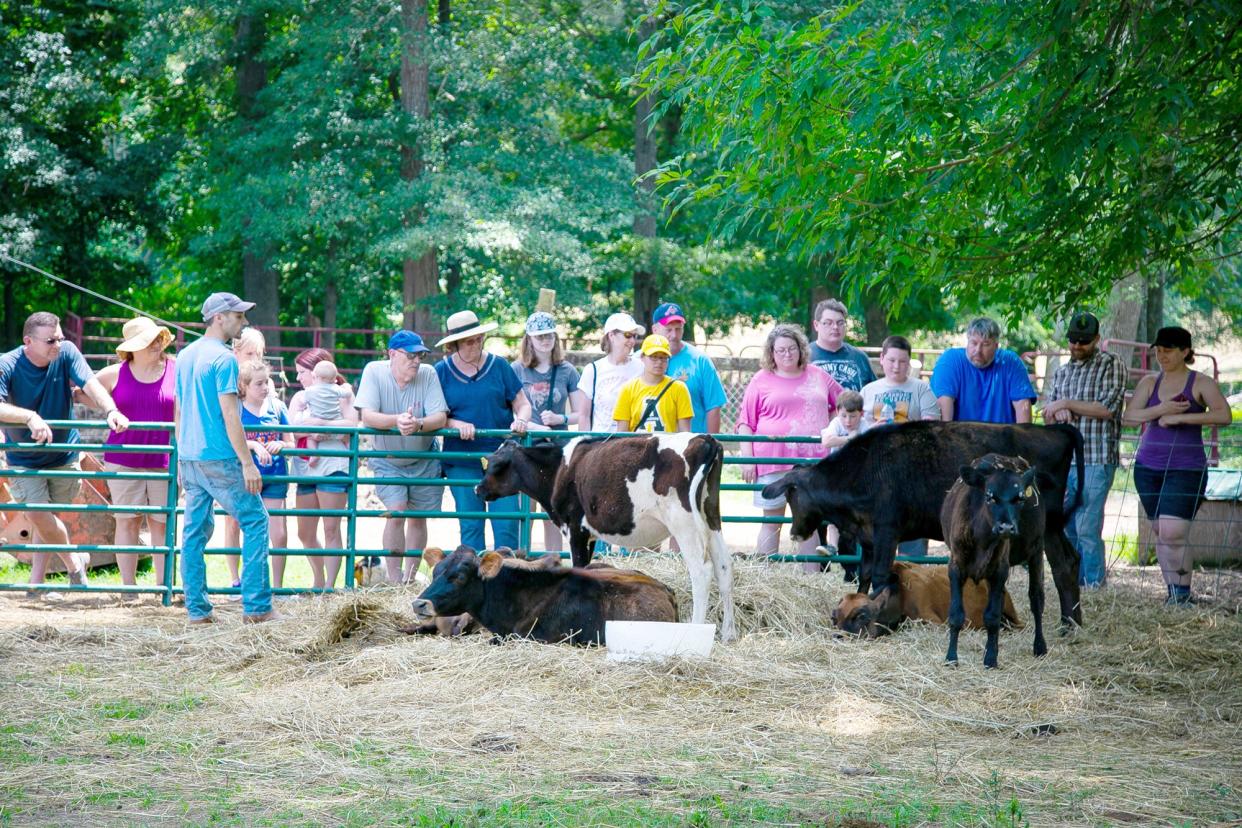 Snider's Dairy Farm in Denton is one of 10 Davidson County farms available for visits during the 2022 Davidson County Farm Tour. The third annual tour is the first one to take place in two years because of COVID-19. Tours will be on June 18 by ticket only.