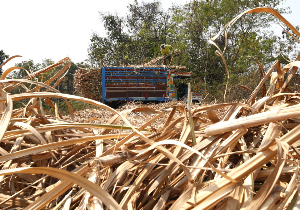 In this March 14, 2019, photo, a Thai worker arranges sugar cane on truck in Nakhon Ratchasima, Thailand. Thailand’s former Prime Minister Thaksin Shinawatra's populist policies, such as a universal health care scheme and generous farming subsidies, account for a good deal of his popularity in poor rural areas. They also show the people in those areas the gains the political process could bring them aside from the cash handouts they traditionally receive from vote-buyers on election eve. (AP Photo/Sakchai Lalit)