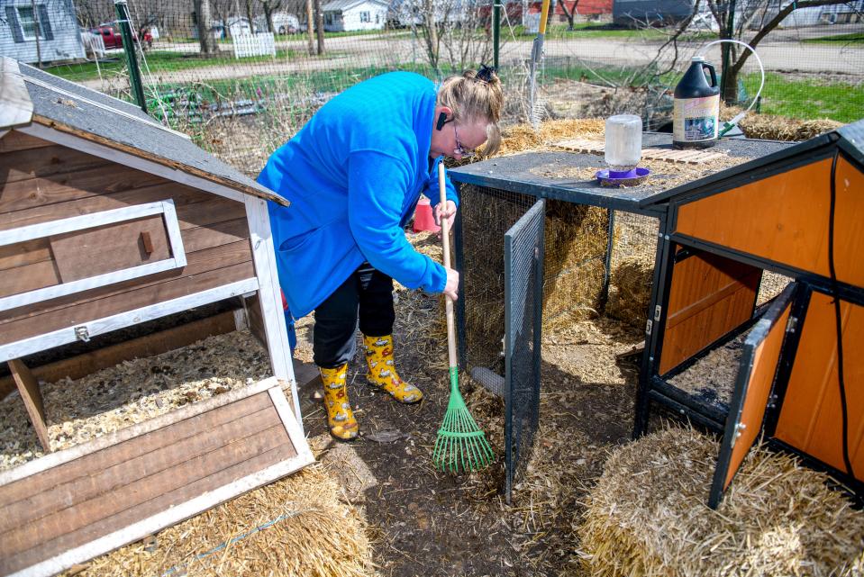 Beth Gilmore rakes up around a door that she says was broken when authorities raided her chicken coop on her property in South Pekin. Gilmore says the coop was damaged and her chickens abused and traumatized in the incident.