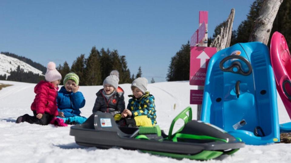 best places you can buy sleds and snow tubes: Maisonette
