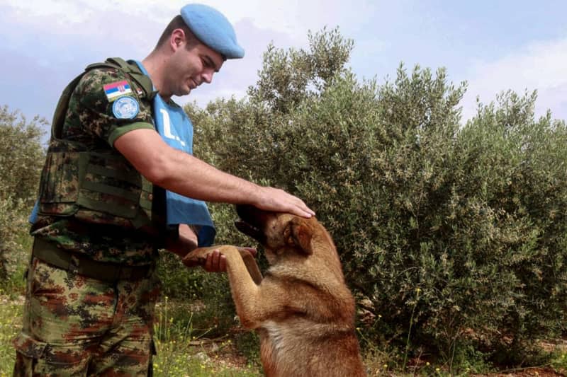 A Serbian soldier from the United Nations Interim Forces in Lebanon (UNIFIL) pats a stray dog as he secures an area with his colleagues in the southern Lebanese border village with Israel Burj al-Muluk. French Foreign Minister Stephane Sejourne came to Lebanon as part of diplomatic efforts to de-escalate the conflict along the Lebanon-Israel border. STR/dpa