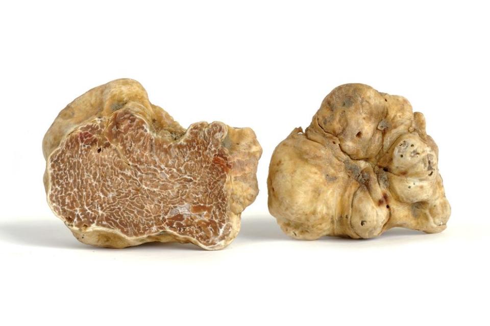 White Alba Truffle, $195 available from Goop.com (Goop)