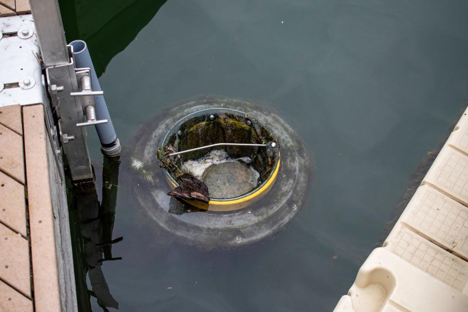 A Seabin pictures in the Manitowoc Marina on July 12. Seabins are one of the many kinds of technology used to clean up plastic pollution near Lake Michigan.