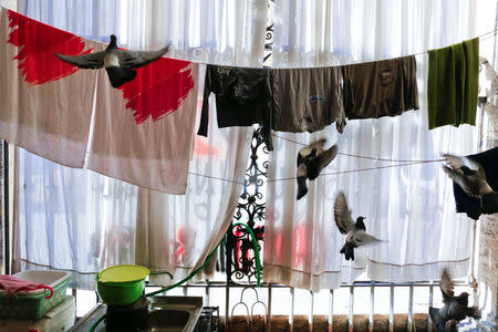 Pigeons fly next to clothes left to dry in the portico of the Basilica of the Santi Apostoli, where some families were evicted from an unused building in August 2017 live, in Rome, Italy January 29, 2018. REUTERS/Tony Gentile