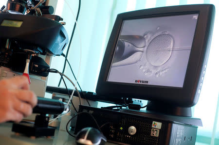 FILE PHOTO: Doctor Katarzyna Koziol injects sperm directly into an egg during in-vitro fertilization (IVF) procedure called Intracytoplasmic Sperm Injection (ICSI) at Novum clinic in Warsaw, Poland October 26, 2010. REUTERS/Kacper Pempel /File Photo