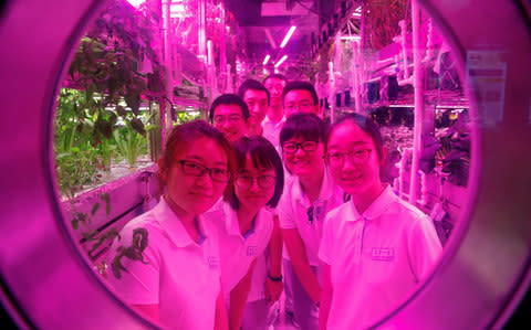 Volunteers smile from inside a simulated space cabin, China's first bioregenerative life-support base where they will live for next 200 days testing how a life-support system works in a space environment. - Credit: Reuters