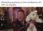 <p>Dogs: Improving meetings since March 2020.</p><p><a href="https://www.instagram.com/p/B94YnHsAQ5-/" rel="nofollow noopener" target="_blank" data-ylk="slk:See the original post on Instagram;elm:context_link;itc:0;sec:content-canvas" class="link ">See the original post on Instagram</a></p>