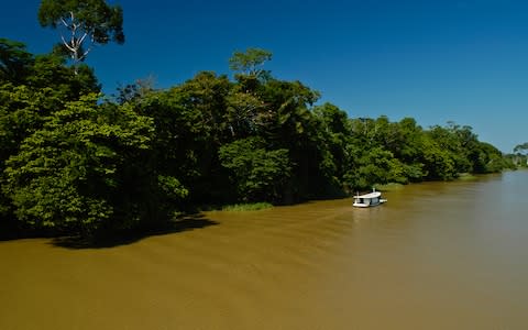 Amazon river cruise - Credit: iStock