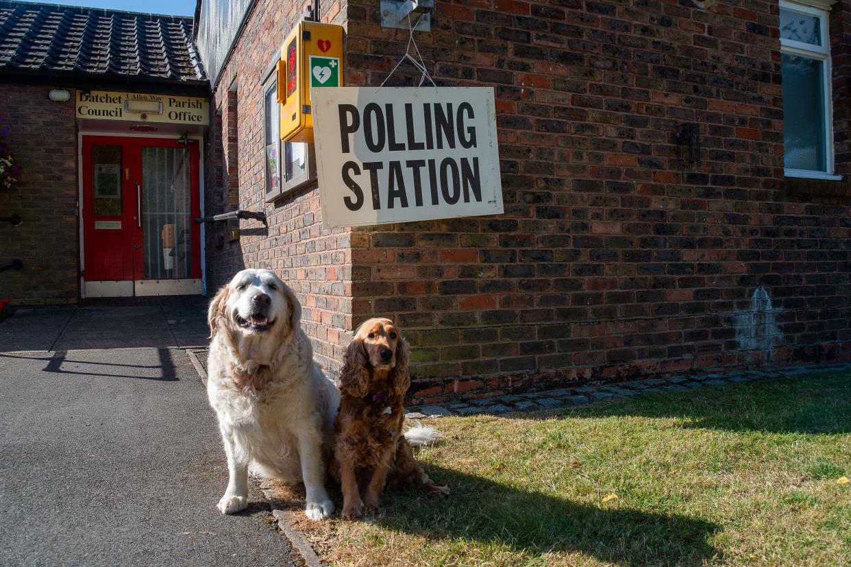 Datchet, UK. 4th July, 2024. Dogs out on the school run stop for a photo outside a Polling Station on General Election Day in the village of Datchet, Berkshire. Credit: Maureen McLean/Alamy Live News