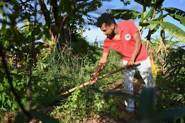 Adonilton Rodrigues, coordinateur du Mouvement des sans-terre du district fédéral, travaille dans les champs du camp du Mouvement brésilien des sans-terre du 8 mars à Planaltina, au Brésil, le 24 avril 2024 (EVARISTO SA)